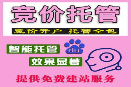 专业sem竞价托管服务，案例解析提升广告效果